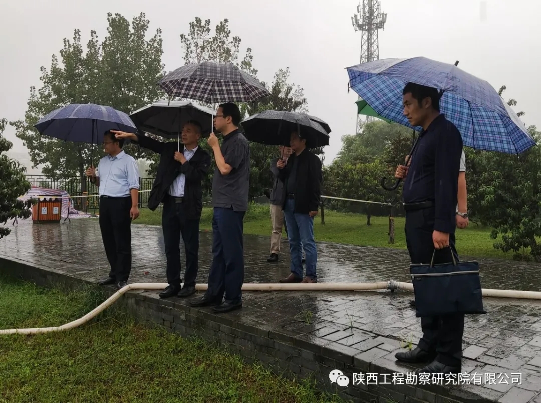 61971316c8920.jpg 640.webp.jpg